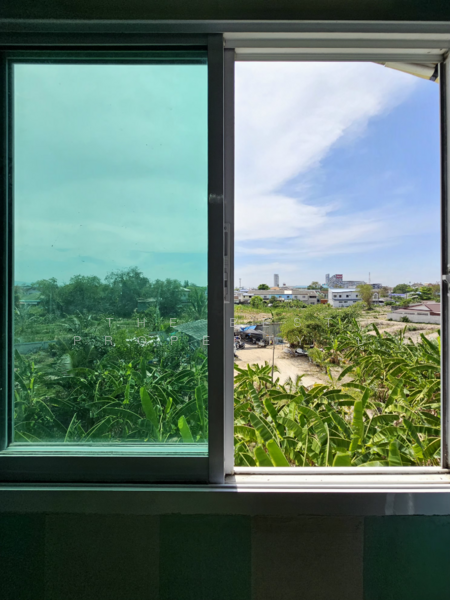 อาคารพาณิชย์บ้านสวน ชลบุรี, Chon Buri (Pattaya), Ban Suan, Muang Chon Buri, Chon Buri (Pattaya), , 100 sqm, Shophouse For Sale, by The Best Property ปู, 500175791 - DDproperty.com