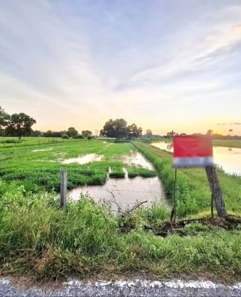 ที่ดินดงลาน ร้อยเอ็ด, Roi Et, Dong Lan, Muang Roi Et, Roi Et, , 6,332 sqm, Land For Sale, by The Best Property  ทองใบ, 500175813 - DDproperty.com