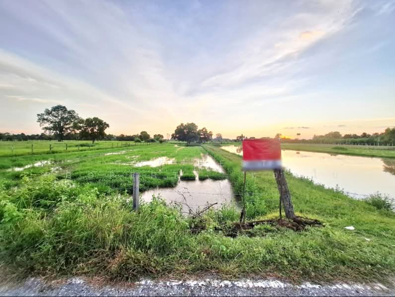 ที่ดินดงลาน ร้อยเอ็ด, ร้อยเอ็ด, ดงลาน, เมืองร้อยเอ็ด, ร้อยเอ็ด, 6,332 ตร.ม., ที่ดิน ขาย, โดย The Best Property  ทองใบ, 500175813 - DDproperty.com