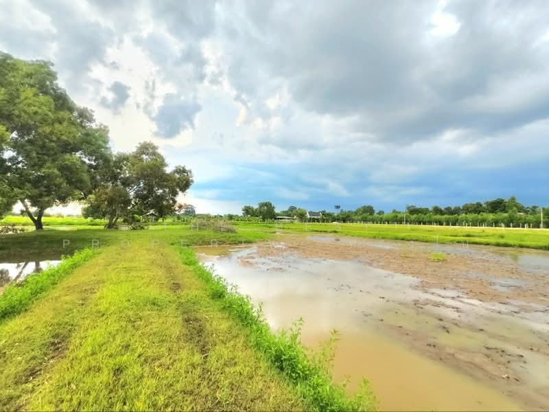 ที่ดินดงลาน ร้อยเอ็ด, ร้อยเอ็ด, ดงลาน, เมืองร้อยเอ็ด, ร้อยเอ็ด, 6,332 ตร.ม., ที่ดิน ขาย, โดย The Best Property  ทองใบ, 500175813 - DDproperty.com