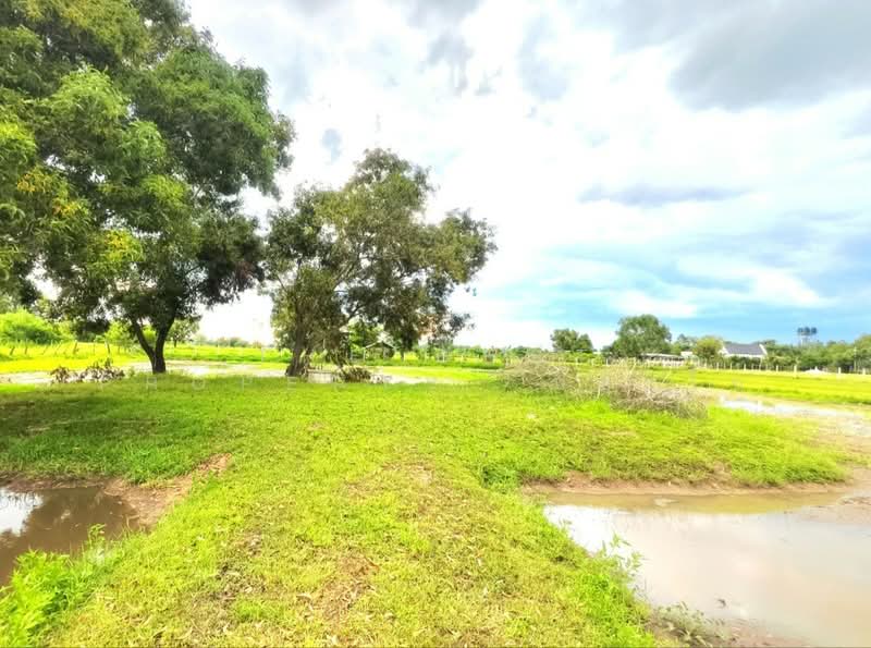 ที่ดินดงลาน ร้อยเอ็ด, ร้อยเอ็ด, ดงลาน, เมืองร้อยเอ็ด, ร้อยเอ็ด, 6,332 ตร.ม., ที่ดิน ขาย, โดย The Best Property  ทองใบ, 500175813 - DDproperty.com