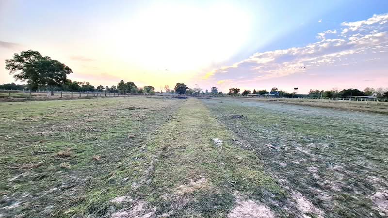 For Sale - ที่ดินดงลาน ร้อยเอ็ด, Roi Et