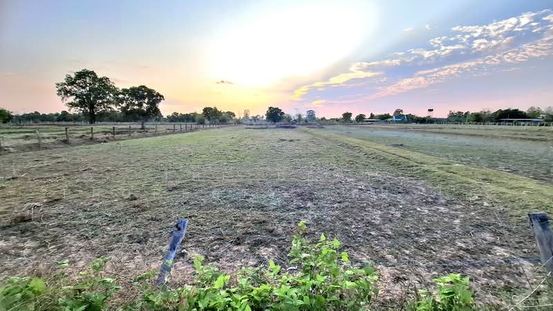 For Sale - ที่ดินดงลาน ร้อยเอ็ด, Roi Et