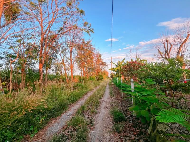 บ้านเดี่ยวพร้อมที่ดินดอนเจดีย์ สุพรรณบุรี, Suphan Buri, Thale Bok, Don Chedi, Suphan Buri, 2 Bedrooms, 100 sqm, Single Detached House For Sale, by The Best Property แอ้, 500175818 - DDproperty.com