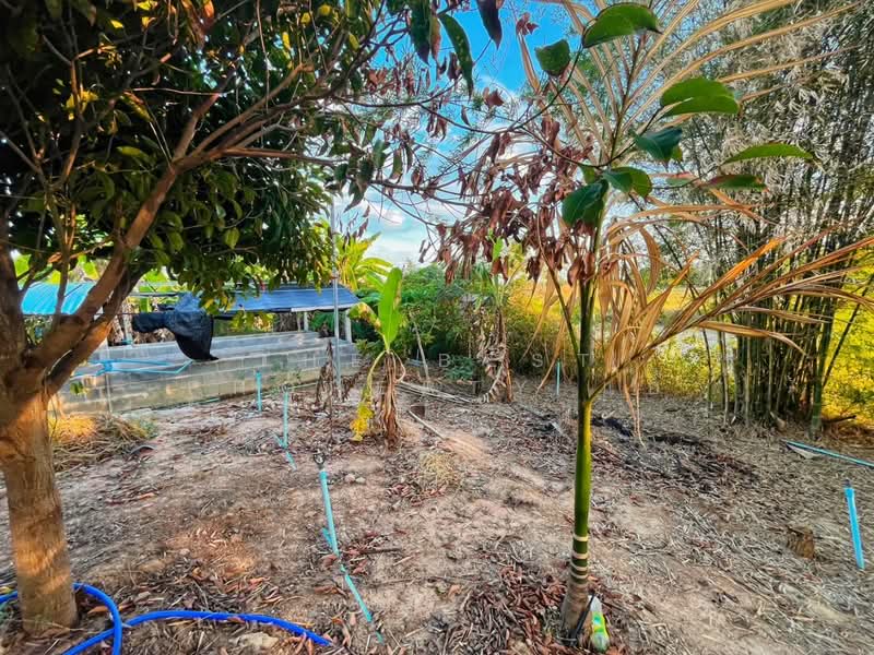 บ้านเดี่ยวพร้อมที่ดินดอนเจดีย์ สุพรรณบุรี, Suphan Buri, Thale Bok, Don Chedi, Suphan Buri, 2 Bedrooms, 100 sqm, Single Detached House For Sale, by The Best Property แอ้, 500175818 - DDproperty.com