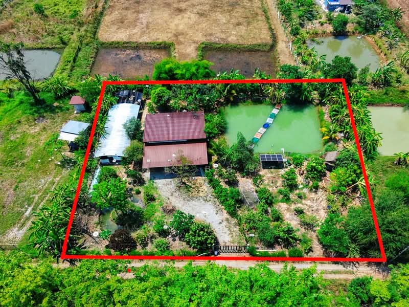 ขาย - บ้านเดี่ยวพร้อมที่ดินดอนเจดีย์ สุพรรณบุรี, สุพรรณบุรี