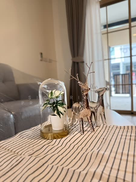 Casa City Bangna, Samut Prakan, Bangna-Trad Road, Bang Kaeo, Bang Plee, Samut Prakan, 3 Bedrooms, 125 sqm, Townhouse For Rent, by Sicharinee Prakchinnawarn, 500175831 - DDproperty.com