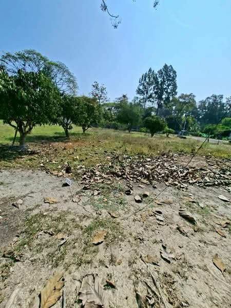 ดอยสะเก็ด, Chiang Mai, Choeng Doi, Doi Saket, Chiang Mai, , 1,780 sqm, Land For Sale, by Armon Yuenyong, 500175836 - DDproperty.com