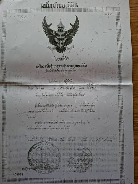 ดอยสะเก็ด, เชียงใหม่, เชิงดอย, ดอยสะเก็ด, เชียงใหม่, 1,780 ตร.ม., ที่ดิน ขาย, โดย อามร ยืนยง, 500175836 - DDproperty.com