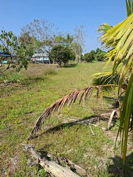 ดอยสะเก็ด, Chiang Mai, Choeng Doi, Doi Saket, Chiang Mai, , 1,780 sqm, Land For Sale, by Armon Yuenyong, 500175836 - DDproperty.com