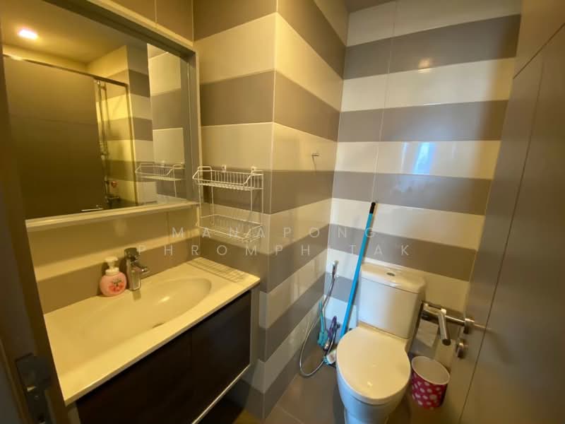 CEIL by Sansiri, Bangkok, 11 Soi Ekamai 12, Sukhumvit 63 Road, Khlong Tan Nua, Watthana, Bangkok, 1 Bedroom, 35 sqm, Condo For Rent, by Manapong Phromphitak, 500175844 - DDproperty.com