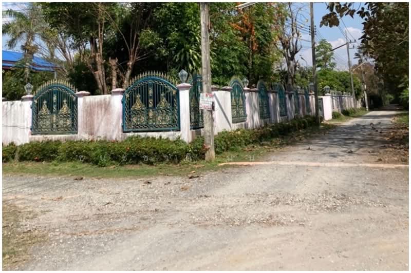 บ้านสวนอมรวรรณ, เชียงใหม่, ท่าวังตาล, สารภี, เชียงใหม่, 1,816 ตร.ม., ที่ดิน ขาย, โดย ชนะชาติ นนท์ตา, 500176003 - DDproperty.com