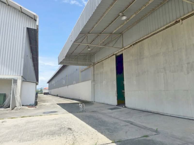 ให้เช่าโกดัง/คลังสินค้า 1400 ตรม.ผังเหลือง อมตะพานอง ชลบุรี, ชลบุรี, บ้านเก่า, พานทอง, ชลบุรี, 1,600 ตร.ม., โกดัง-โรงงาน ให้เช่า, โดย ดุสิต แสงฟ้า, 500176006 - DDproperty.com