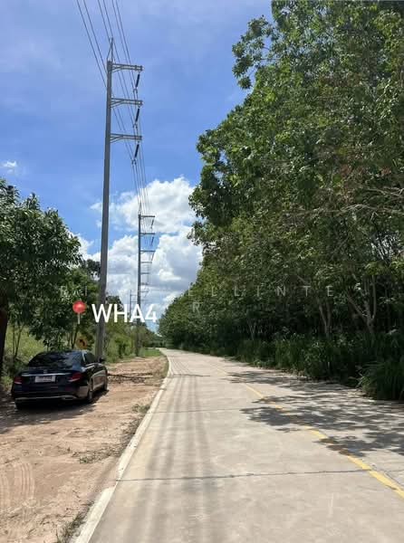 Land for sale in Mae Nam Khu, 31 rai, adjacent to a concrete road, next to WHA 4 Industrial Estate,, Rayong, Mae Nam Khu, Pluak Daeng, Rayong, , 49,648 sqm, Land For Sale, by richwellinter, 500176014 - DDproperty.com