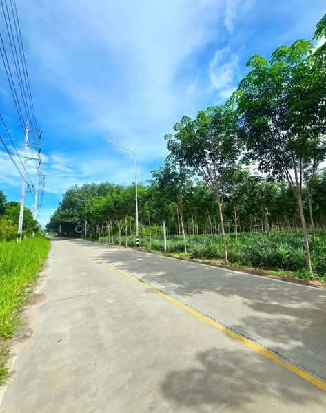 Land for sale in Mae Nam Khu, 31 rai, adjacent to a concrete road, next to WHA 4 Industrial Estate, Rayong, Mae Nam Khu, Pluak Daeng, Rayong, , 49,648 sqm, Land For Sale, by richwellinter, 500176014 - DDproperty.com