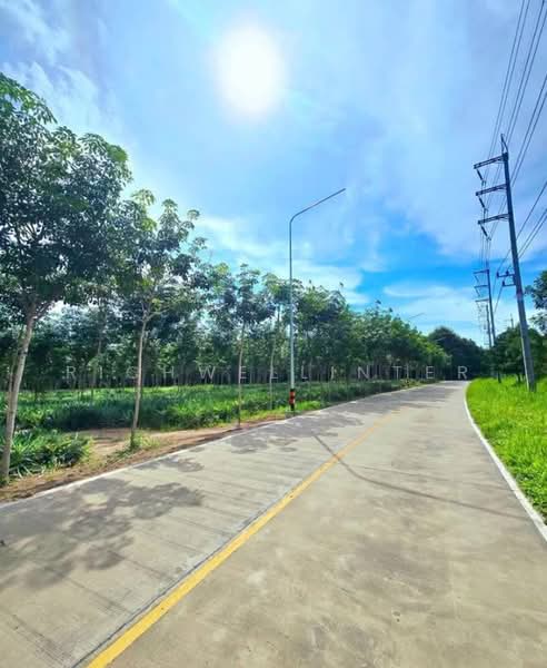 Land for sale in Mae Nam Khu, 31 rai, adjacent to a concrete road, next to WHA 4 Industrial Estate, Rayong, Mae Nam Khu, Pluak Daeng, Rayong, , 49,648 sqm, Land For Sale, by richwellinter, 500176014 - DDproperty.com