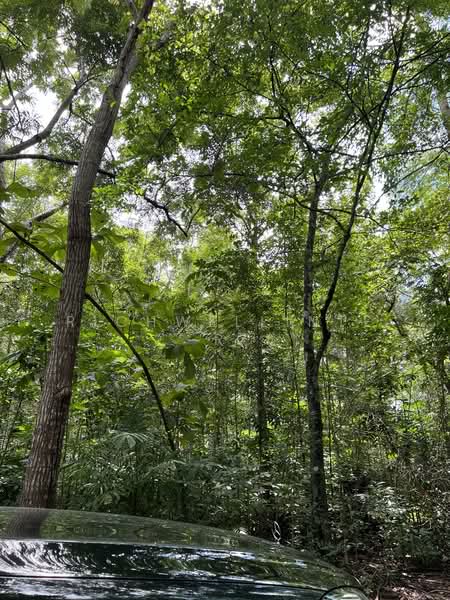 ขายที่ดินพร้อมบ้านและสวนบ้านเขาชะเมา 72 ไร่ ติดถนนเส้นอบจ.ระยอง, ระยอง, น้ำเป็น, เขาชะเมา, ระยอง, 115,280 ตร.ม., ที่ดิน ขาย, โดย richwellinter, 500176020 - DDproperty.com