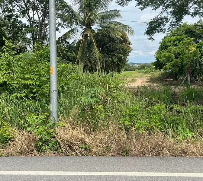 ขายที่ดินสีม่วงลายมะขามคู่ นิคมพัฒนา 2 ไร่(ขยายได้8ไร่) ใกล้ถนน36-500เมตร, ระยอง, มะขามคู่, นิคมพัฒนา, ระยอง, 4,664 ตร.ม., ที่ดิน ขาย, โดย richwellinter, 500176033 - DDproperty.com