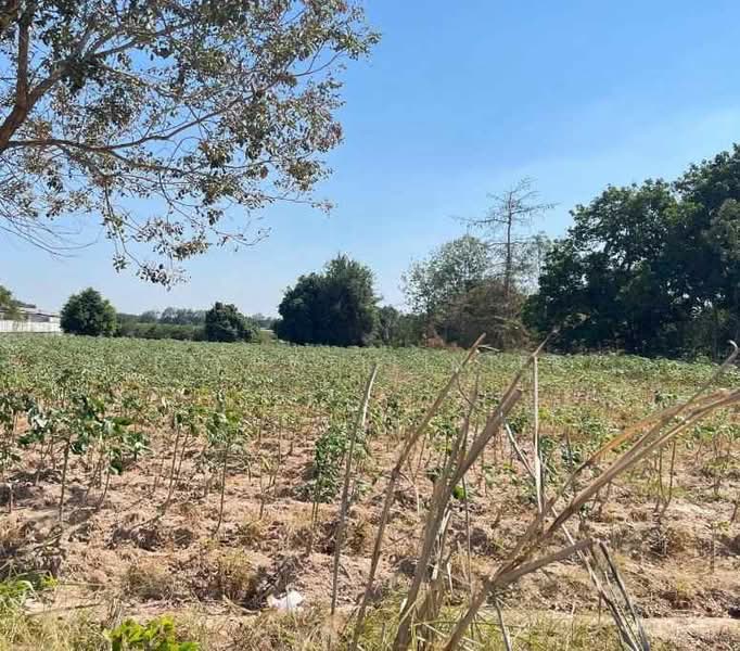Land for sale in Mae Nam Khu, 1 rai, Soi 5, next to a paved road, near Pa Sai Market (5 km),, Rayong, Mae Nam Khu, Pluak Daeng, Rayong, , 2,472 sqm, Land For Sale, by richwellinter, 500176039 - DDproperty.com