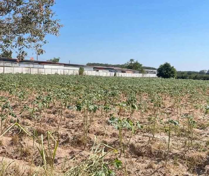 Land for sale in Mae Nam Khu, 1 rai, Soi 5, next to a paved road, near Pa Sai Market (5 km),, Rayong, Mae Nam Khu, Pluak Daeng, Rayong, , 2,472 sqm, Land For Sale, by richwellinter, 500176039 - DDproperty.com