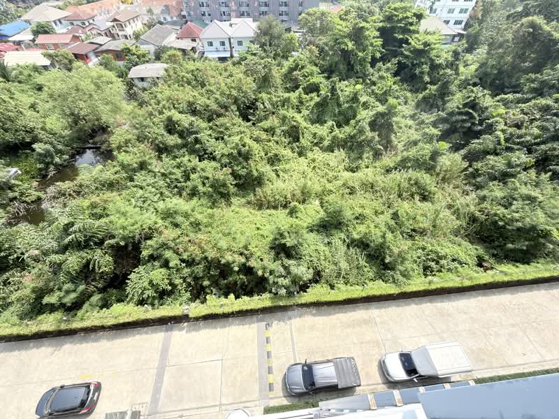 The Politan Rive : เดอะ โพลิแทน รีฟ, นนทบุรี, ซอยนนทบุรี 15, บางกระสอ, เมืองนนทบุรี, นนทบุรี, 33 ตร.ม., คอนโด ขาย, โดย Pongpan Matkhao, 500176063 - DDproperty.com