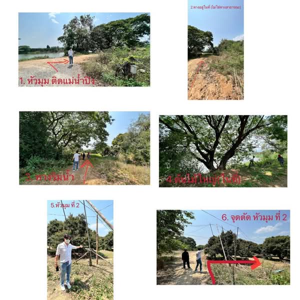 LAND FOR SALE - Chom Thong - Chiangmai, Chiang Mai, Ban Pae, Chom Thong, Chiang Mai, , 9,028 sqm, Land For Sale, by Tananchai Chaisrakaew, 500176099 - DDproperty.com
