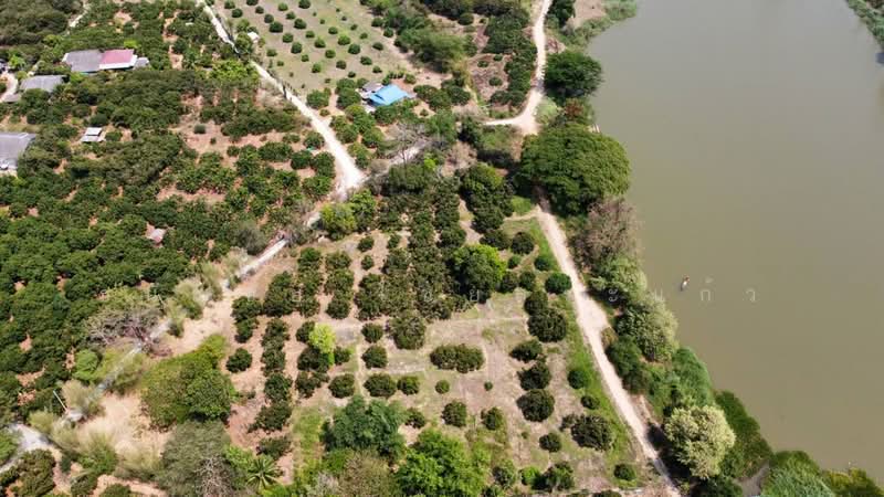 ขาย - ที่ดินติดแม่น้ำปิง (สวนลำไย) อ.จอมทอง จ.เชียงใหม่, เชียงใหม่