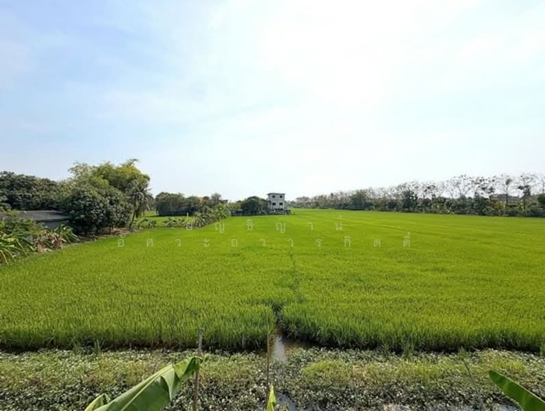 Baan Phrueksa 3 Bang Bua Thong, Nonthaburi, Soi Moobaan Phrueksa 3, Bang Khu Rat, Bang Bua Thong, Nonthaburi, 3 Bedrooms, 82 sqm, Single Detached House For Sale, by อัญธิญาน์ อัศวะถาวรกิตติ์, 500176108 - DDproperty.com