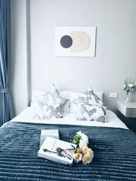 Brixton Pet & Play Sukhumvit 107, Samut Prakan, Sukhumvit 107, Samrong Nua, Muang Samut Prakarn, Samut Prakan, 1 Bedroom, 26 sqm, Condo For Rent, by Anyaporn Srikanlayanabut, 500176283 - DDproperty.com