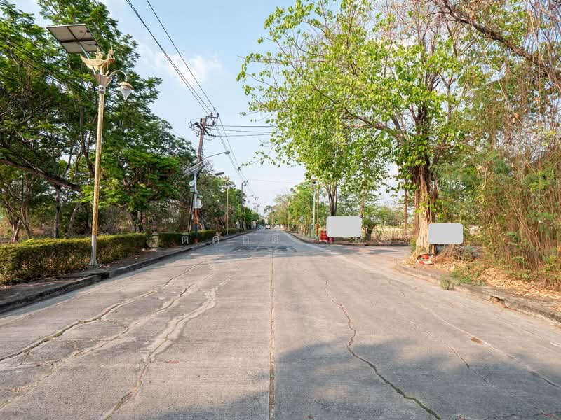 ไม่พบ, Samut Prakan, Rachathewa, Bang Plee, Samut Prakan, , 1,160 sqm, Land For Sale, by TITISAK Jane, 500176323 - DDproperty.com