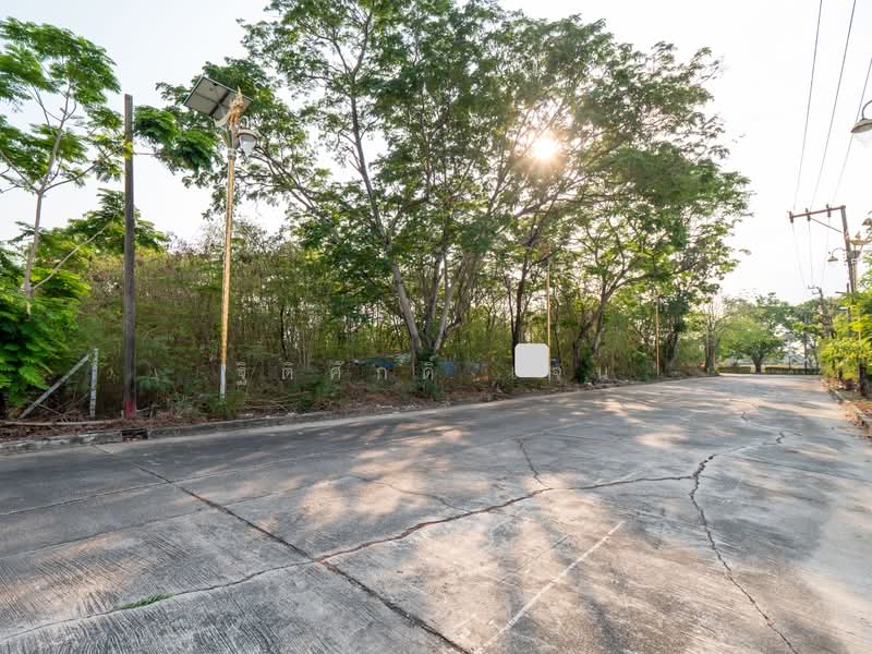 ไม่พบ, Samut Prakan, Rachathewa, Bang Plee, Samut Prakan, , 1,160 sqm, Land For Sale, by TITISAK Jane, 500176323 - DDproperty.com