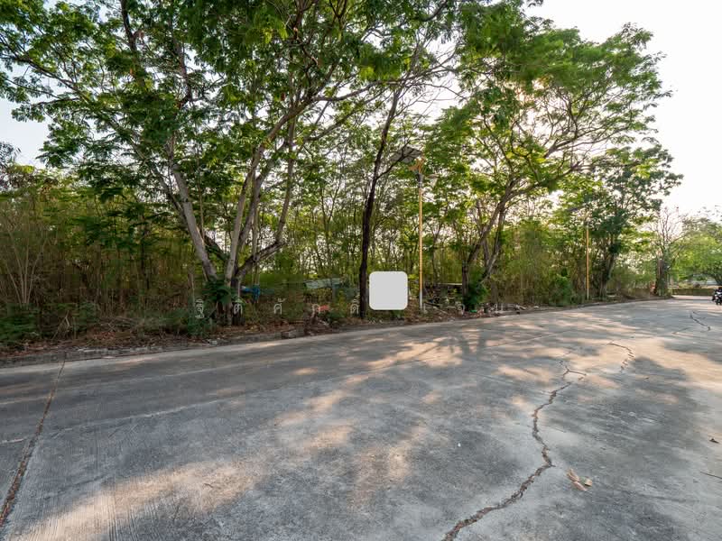 ไม่พบ, Samut Prakan, Rachathewa, Bang Plee, Samut Prakan, , 1,160 sqm, Land For Sale, by TITISAK Jane, 500176323 - DDproperty.com