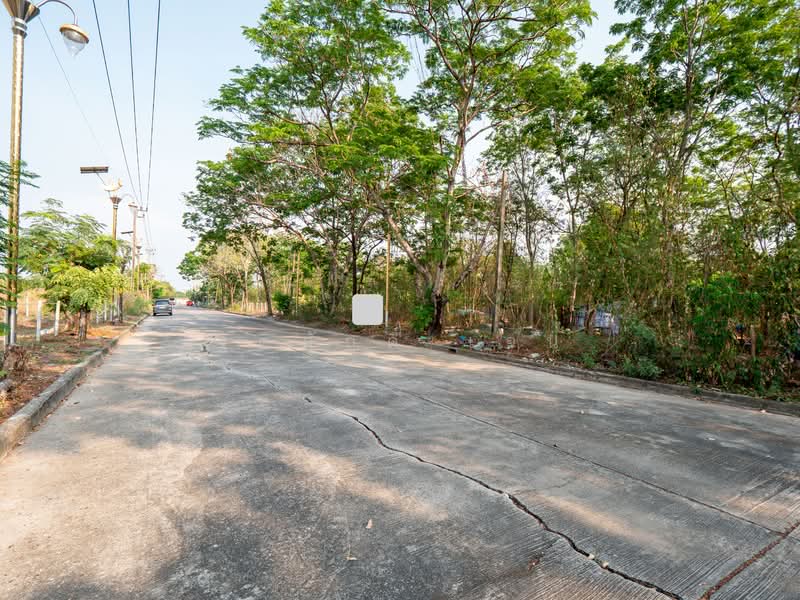 ไม่พบ, สมุทรปราการ, ราชาเทวะ, บางพลี, สมุทรปราการ, 1,160 ตร.ม., ที่ดิน ขาย, โดย ฐิติศักดิ์ เจน, 500176323 - DDproperty.com