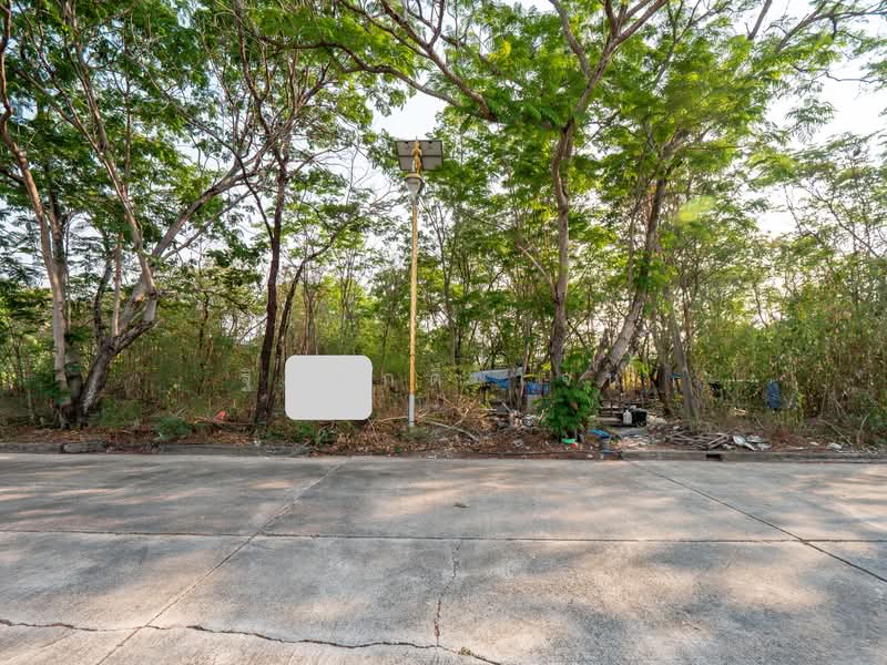 ไม่พบ, Samut Prakan, Rachathewa, Bang Plee, Samut Prakan, , 1,160 sqm, Land For Sale, by TITISAK Jane, 500176323 - DDproperty.com