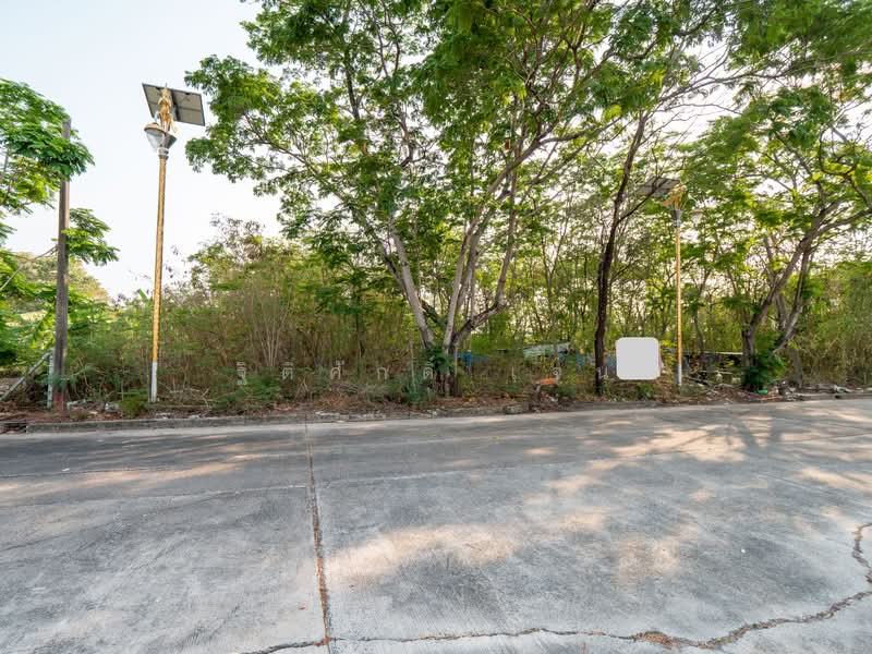 ไม่พบ, สมุทรปราการ, ราชาเทวะ, บางพลี, สมุทรปราการ, 1,160 ตร.ม., ที่ดิน ขาย, โดย ฐิติศักดิ์ เจน, 500176323 - DDproperty.com