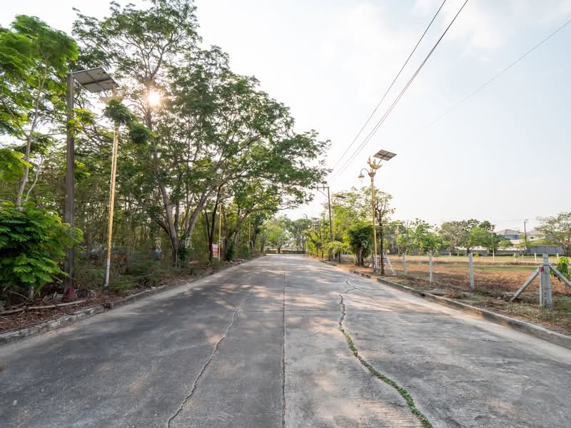 ไม่พบ, สมุทรปราการ, ราชาเทวะ, บางพลี, สมุทรปราการ, 1,160 ตร.ม., ที่ดิน ขาย, โดย ฐิติศักดิ์ เจน, 500176323 - DDproperty.com