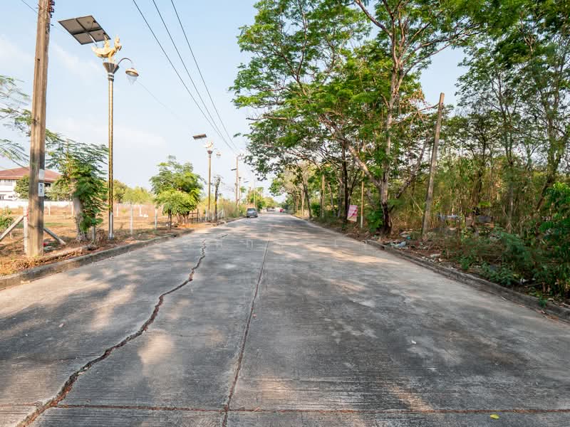 ไม่พบ, สมุทรปราการ, ราชาเทวะ, บางพลี, สมุทรปราการ, 1,160 ตร.ม., ที่ดิน ขาย, โดย ฐิติศักดิ์ เจน, 500176323 - DDproperty.com