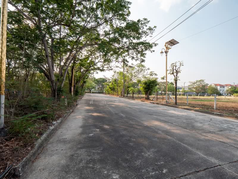 ไม่พบ, Samut Prakan, Rachathewa, Bang Plee, Samut Prakan, , 1,160 sqm, Land For Sale, by TITISAK Jane, 500176323 - DDproperty.com
