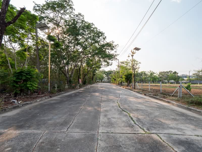 ไม่พบ, สมุทรปราการ, ราชาเทวะ, บางพลี, สมุทรปราการ, 1,160 ตร.ม., ที่ดิน ขาย, โดย ฐิติศักดิ์ เจน, 500176323 - DDproperty.com