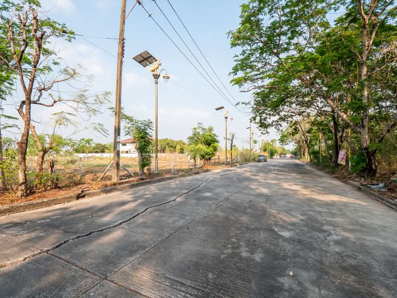 ไม่พบ, สมุทรปราการ, ราชาเทวะ, บางพลี, สมุทรปราการ, 1,160 ตร.ม., ที่ดิน ขาย, โดย ฐิติศักดิ์ เจน, 500176323 - DDproperty.com