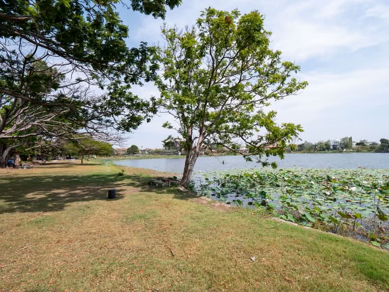 ไม่พบ, สมุทรปราการ, ราชาเทวะ, บางพลี, สมุทรปราการ, 1,160 ตร.ม., ที่ดิน ขาย, โดย ฐิติศักดิ์ เจน, 500176323 - DDproperty.com