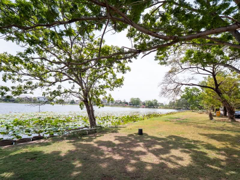 ไม่พบ, สมุทรปราการ, ราชาเทวะ, บางพลี, สมุทรปราการ, 1,160 ตร.ม., ที่ดิน ขาย, โดย ฐิติศักดิ์ เจน, 500176323 - DDproperty.com