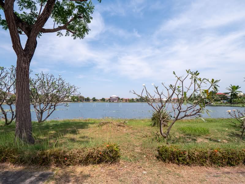 ไม่พบ, สมุทรปราการ, ราชาเทวะ, บางพลี, สมุทรปราการ, 1,160 ตร.ม., ที่ดิน ขาย, โดย ฐิติศักดิ์ เจน, 500176323 - DDproperty.com