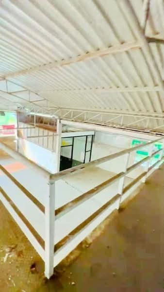 ไม่พบโครงการ, Nonthaburi, ติวานนท์ เรวดี, Talat Kwan, Muang Nonthaburi, Nonthaburi, , 800 sqm, Shophouse For Rent, by ณัฐพงศ์ สุนทรอรุณ, 500176356 - DDproperty.com