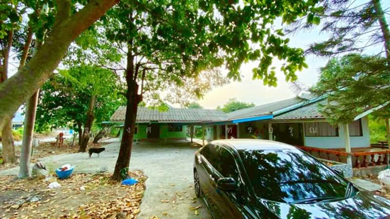 ไม่พบโครงการ, Chachoengsao, ฉะเชิงเทรา-บางปะกง, Sothon, Muang Chachoengsao, Chachoengsao, 3 Bedrooms, 1,196 sqm, Single Detached House For Rent, by ณัฐพงศ์ สุนทรอรุณ, 500176382 - DDproperty.com