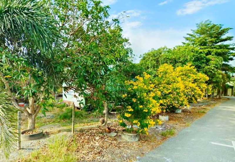 ไม่พบโครงการ, Chachoengsao, ฉะเชิงเทรา-บางปะกง, Sothon, Muang Chachoengsao, Chachoengsao, 3 Bedrooms, 1,196 sqm, Single Detached House For Rent, by ณัฐพงศ์ สุนทรอรุณ, 500176382 - DDproperty.com