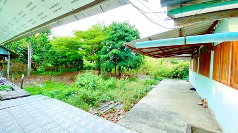 ไม่พบโครงการ, Chachoengsao, ฉะเชิงเทรา-บางปะกง สิริโสธร, Sothon, Muang Chachoengsao, Chachoengsao, 3 Bedrooms, 1,196 sqm, Single Detached House For Rent, by ณัฐพงศ์ สุนทรอรุณ, 500176386 - DDproperty.com