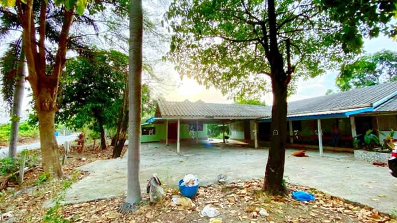 ไม่พบโครงการ, Chachoengsao, ฉะเชิงเทรา-บางปะกง สิริโสธร, Sothon, Muang Chachoengsao, Chachoengsao, 3 Bedrooms, 1,196 sqm, Single Detached House For Rent, by ณัฐพงศ์ สุนทรอรุณ, 500176386 - DDproperty.com