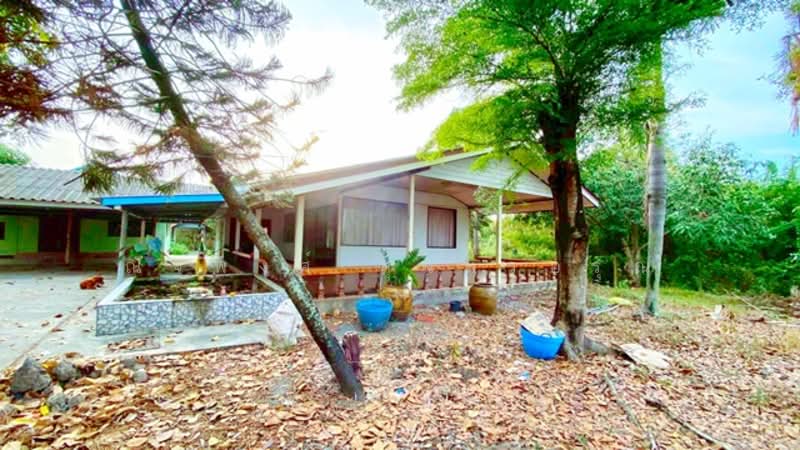 ไม่พบโครงการ, Chachoengsao, ฉะเชิงเทรา-บางปะกง สิริโสธร, Sothon, Muang Chachoengsao, Chachoengsao, 3 Bedrooms, 1,196 sqm, Single Detached House For Rent, by ณัฐพงศ์ สุนทรอรุณ, 500176386 - DDproperty.com
