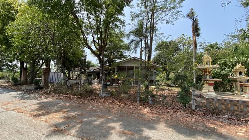 ไม่พบโครงการ, Chachoengsao, ฉะเชิงเทรา-บางปะกง สิริโสธร, Sothon, Muang Chachoengsao, Chachoengsao, 3 Bedrooms, 1,196 sqm, Single Detached House For Rent, by ณัฐพงศ์ สุนทรอรุณ, 500176386 - DDproperty.com